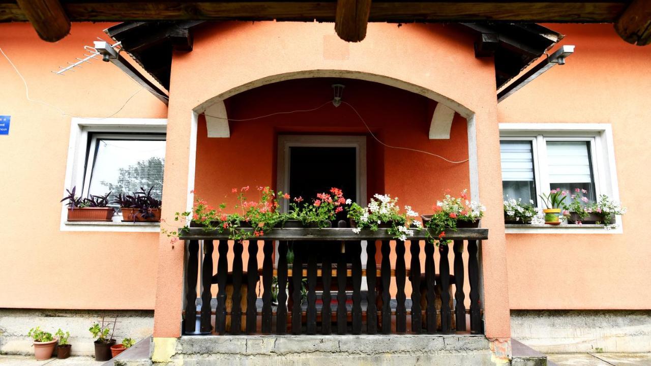 Matovina Apartment Saborsko