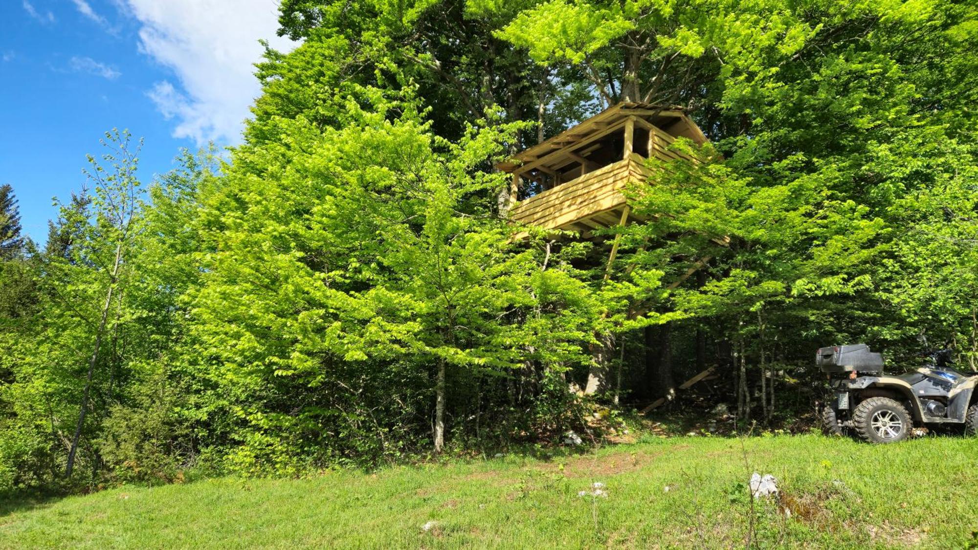 Matovina